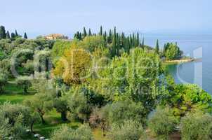 gardasee punta san vigilio - lake garda punta san vigilio 02