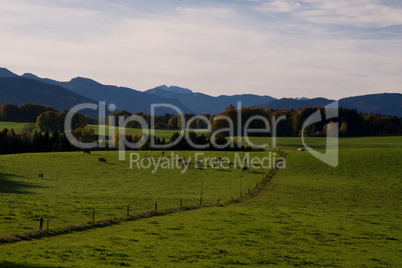 Alpenwiese, grün, saftig, blau, himmel, oberbayern, postkartenmotiv, alpen, tal, herbst, sommer, wiesen, weide, felder, almwiese, berge, bayern, alpental, natur, überblick, panorama, hochgebirge, alpinismus, wald, wälder, wiese, almen, almenwiese, bergwan