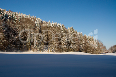 Wald, Waldrand, Wiese, Schatten, schattig, Winter, Winterlandschaft, geschneit, kalt, eisig, Frost, Himmel, blau, schön, idyllisch, romantisch, Landschaft, Wälder, Schnee, Wiese, Baum