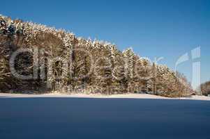 Wald, Waldrand, Wiese, Schatten, schattig, Winter, Winterlandschaft, geschneit, kalt, eisig, Frost, Himmel, blau, schön, idyllisch, romantisch, Landschaft, Wälder, Schnee, Wiese, Baum