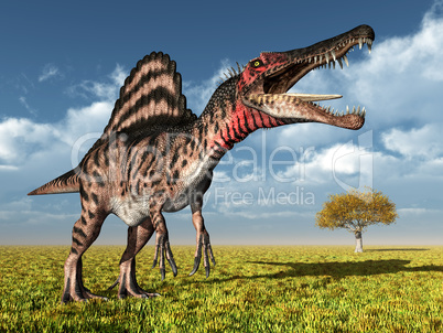 Dinosaurier Spinosaurus