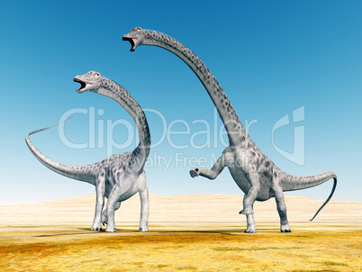 dinosaurier diplodocus