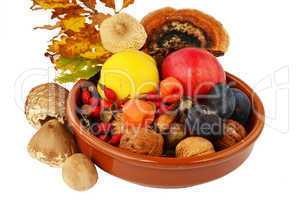 decoration of autumn fruits