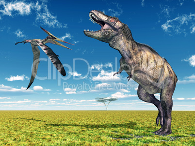 Pteranodon und Tyrannosaurus Rex