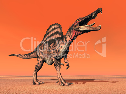 Dinosaurier Spinosaurus