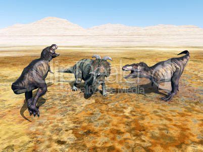 tyrannosaurus rex und albertaceratops