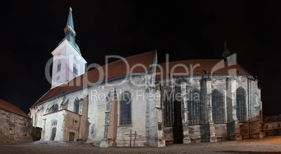 Night panorama with cathedral
