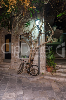 Bicycle near tree on the city street