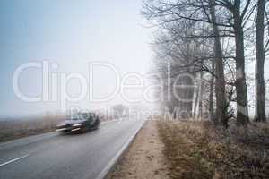 car on a road in fog