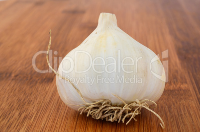 head of garlic