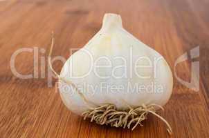 head of garlic