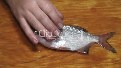 fisherman hands with knife cleaning fish