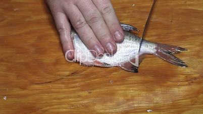 Fisherman hands with knife hacking fish