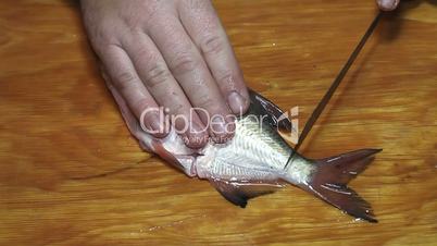Fisherman hands with knife hacking fish