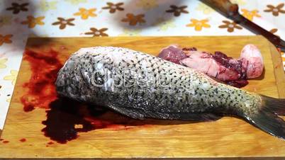 Fisherman hands with knife cleaning fish