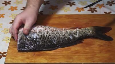 fisherman hands with knife making fillet