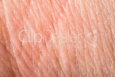 texture of human skin