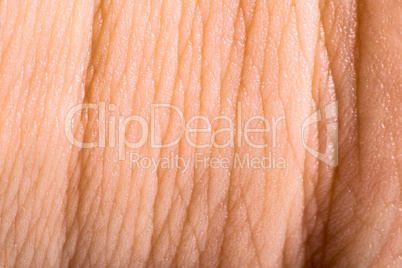 close up human skin. macro epidermis