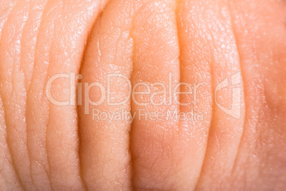 close up human skin. macro epidermis