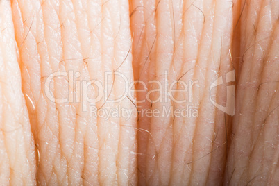 close up human skin. macro epidermis