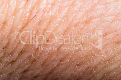 close up human skin. macro epidermis