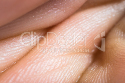 close up human skin. macro epidermis