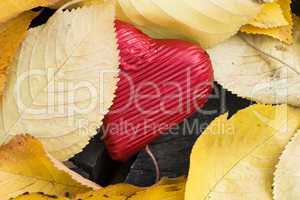 red wrapped heart and autumn leafs