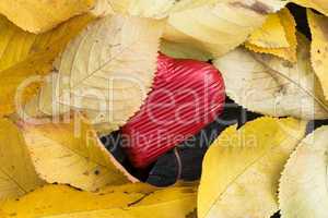 red wrapped heart and autumn leafs