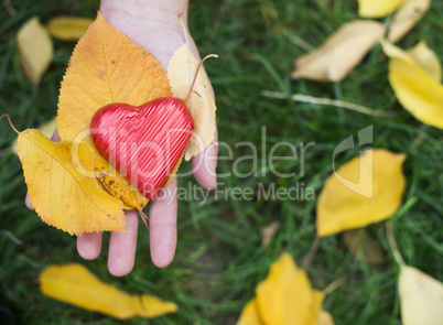 hand holding red heart and autumn leafs