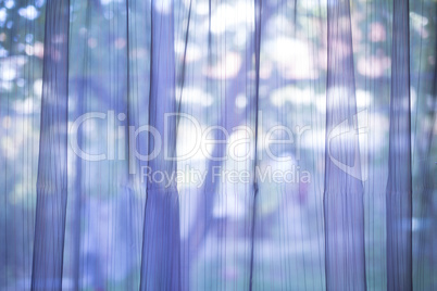 purple transparent curtain background