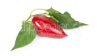 red peppers and leaves