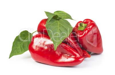 red peppers and leaves