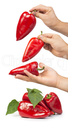 red peppers and leaves