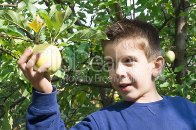 child pick off apple