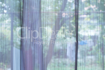 transparent curtain on window