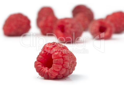 raspberries white isolated