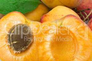 close up apricots.