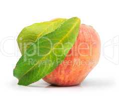 peach and leaf