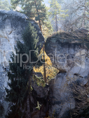 Bohemian Paradise - Rocks