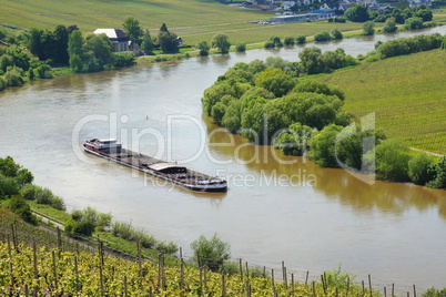 schiff auf der mosel bei trittenheim