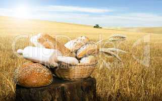 bread and wheat cereal crops
