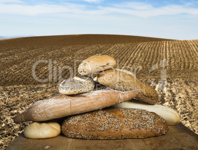 bread and wheat cereal crops. plowed land