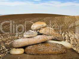 bread and wheat cereal crops. plowed land