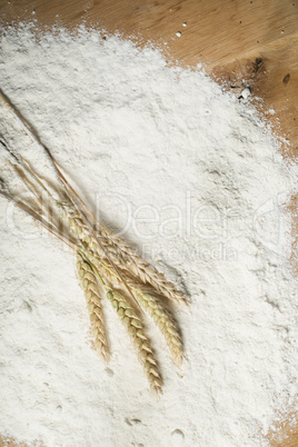 pile of flour and wheat