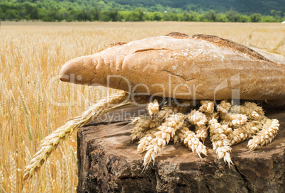 bread and wheat cereal crops.
