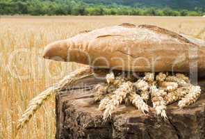 bread and wheat cereal crops.