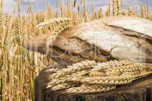 bread and wheat cereal crops.