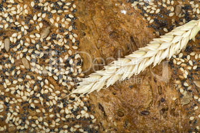 close up bread and wheat cereal crops