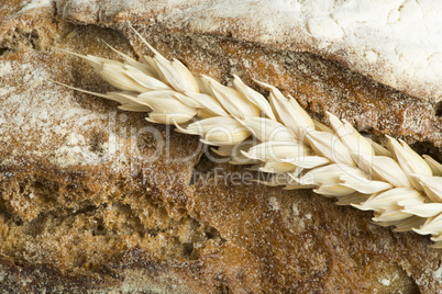 close up bread and wheat cereal crops