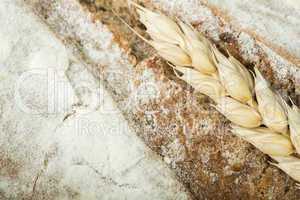 close up bread and wheat cereal crops